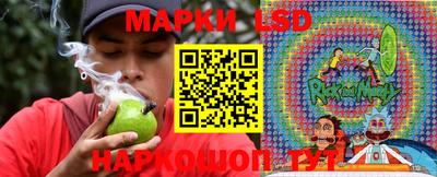гидропоника Кунгур