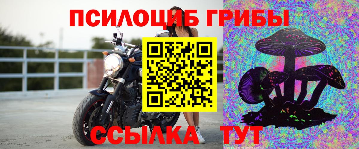 Губаха  Галлюциногенные грибы прущие грибы  Вход с VPN 
